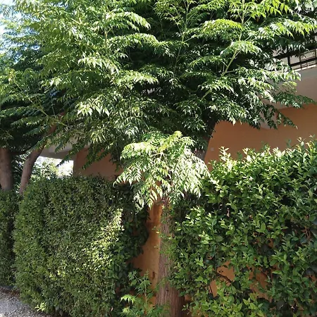 Natalie 3 Cozy And Cool Διαμέρισμα Δρέπανο