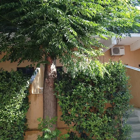 Natalie 3 Cozy And Cool * Δρέπανο